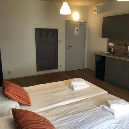 U Zlateho Kohouta Hotel