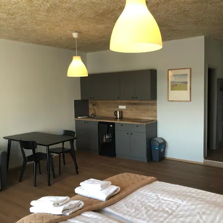 Otel U Zlateho Kohouta 4*