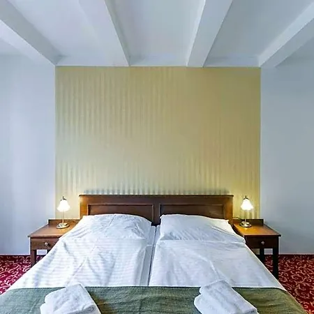 فندق U Zlateho Kohouta 4*