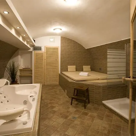 Hotel U Zlateho Kohouta