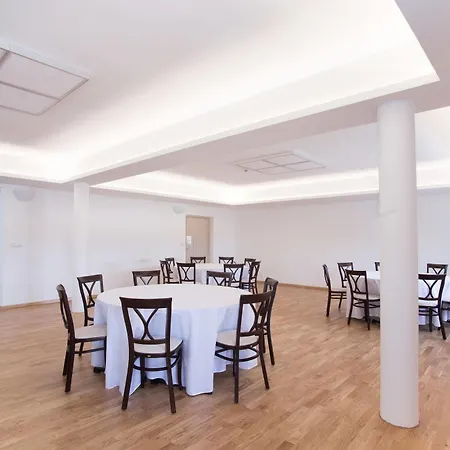 Hotel U Zlatého Kohouta 4*