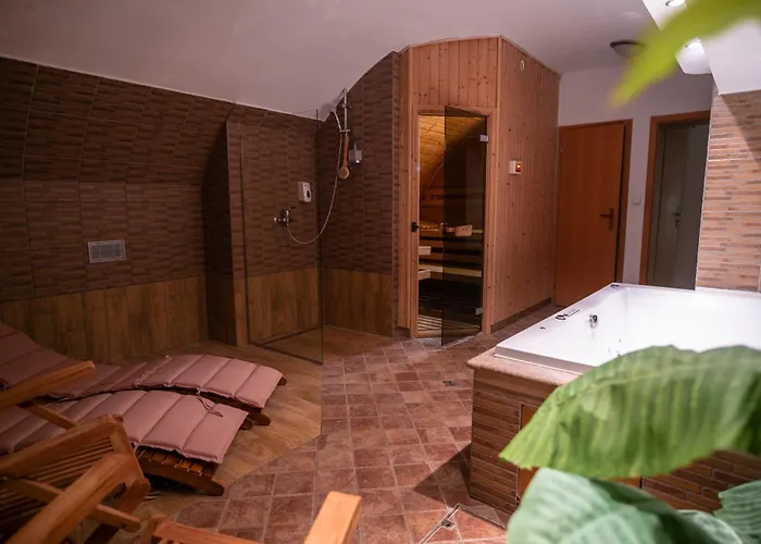 Hotel U Zlateho Kohouta