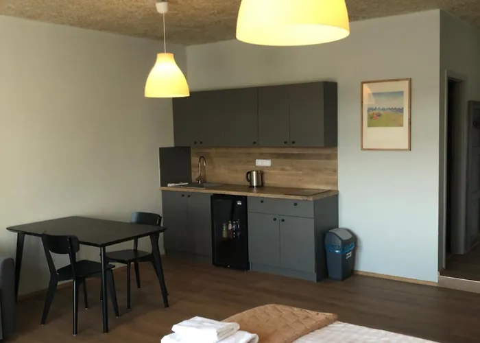 Hotel U Zlateho Kohouta 4*